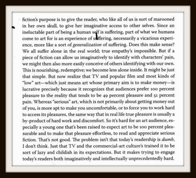 David Foster Wallace, from Conversations with David Foster Wallace