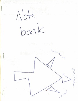 Notebook - Ida