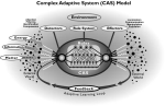 complex adaptive systems diagram