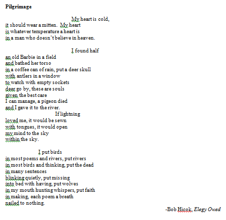 Pilgrimage - Bob Hicok