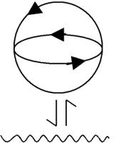 Maturana-Varela - co-relations