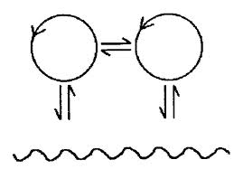 Maturana-Varela - Reality