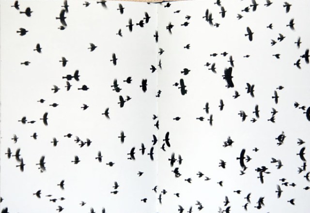 lukas_felzmann_swarm_3