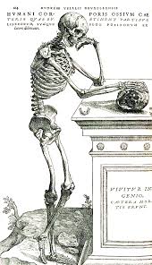skeleton at desk