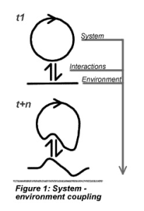 System Environment Coupling
