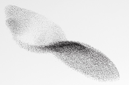 lead_manuel-prestl-der-vogelschwarm