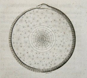 tumblr_lt17abrdkf1qmdrwbo1_500